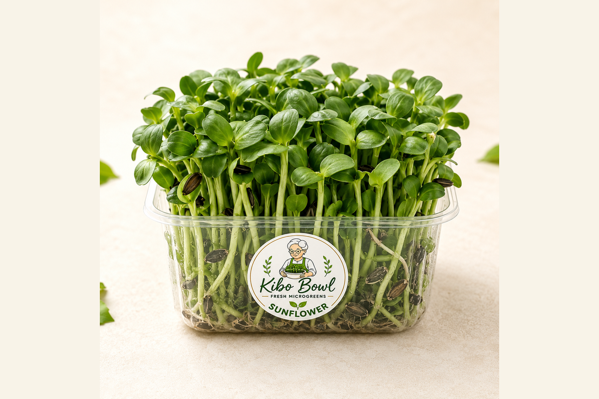 Fresh Kibo Bowl sunflower microgreens ready to use